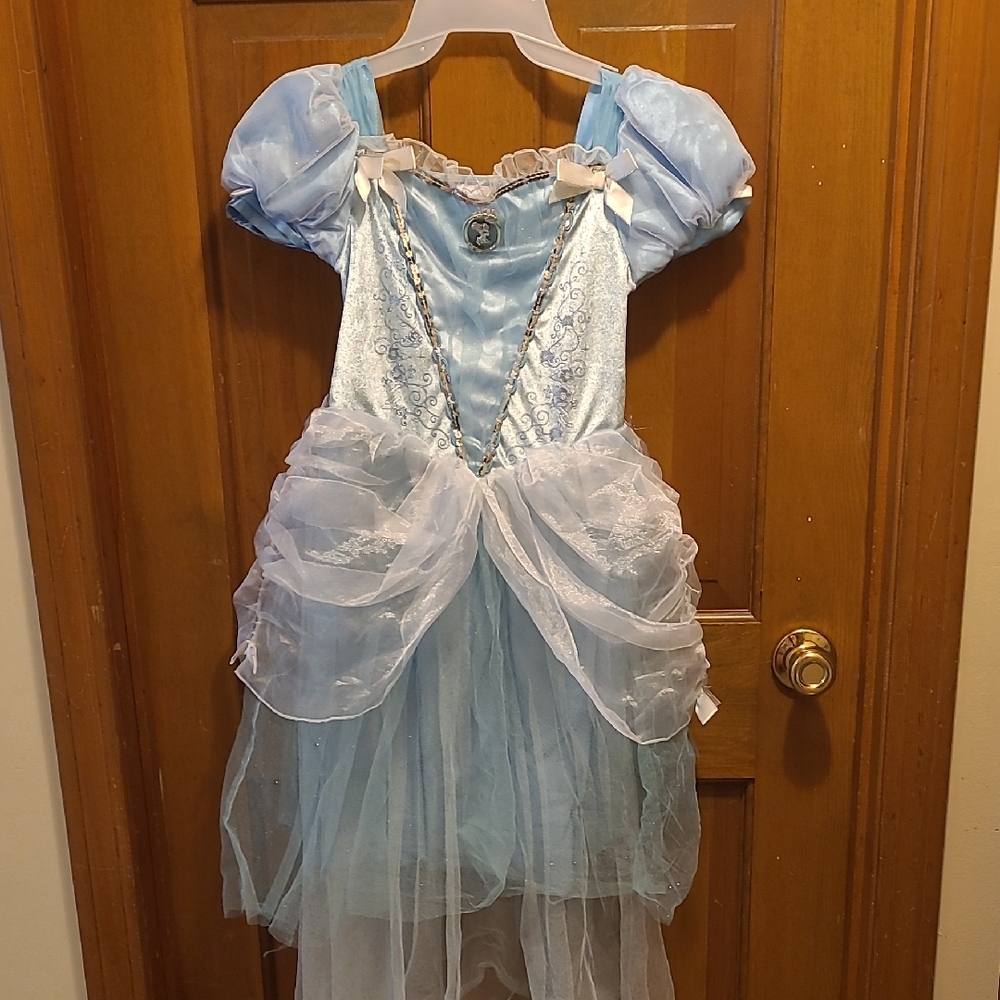Blue Princess Kids Costume